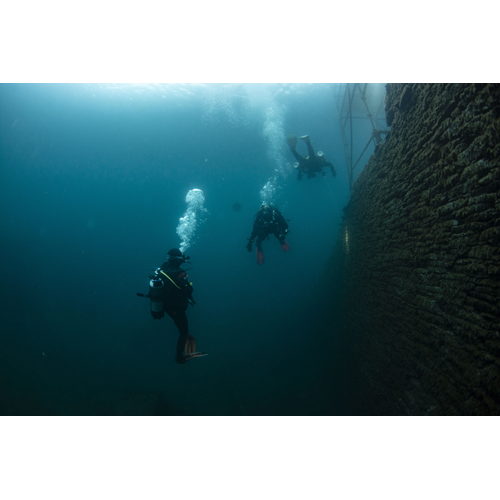 PADI Scuba Diver