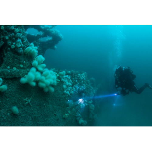 Divemaster