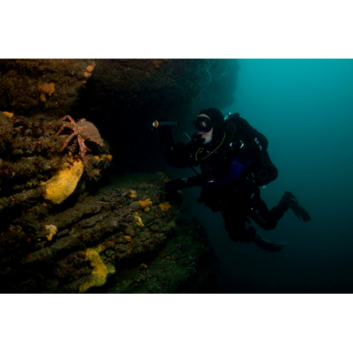 Quilty 4 Dive Package (200 euro Club Member)