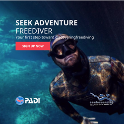 Padi Freediver Course (excl Material)