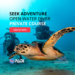 Padi Open Water Diver Private (excl Material)
