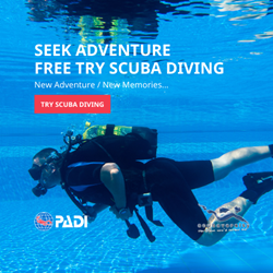 Try Scuba Diving