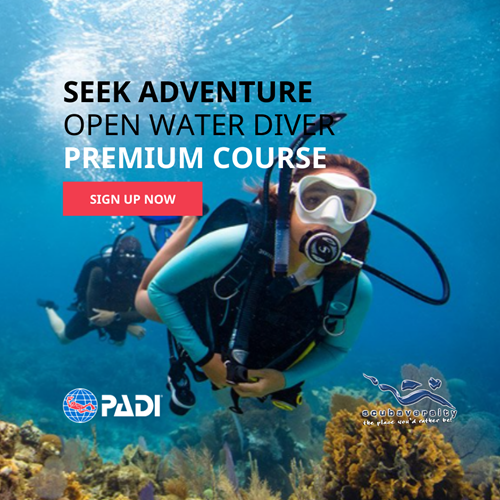 PADI Open Water Diver Premium  (Excl Material)