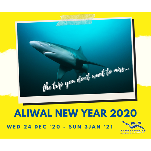 ALIWAL NEW YEARS TRIP 30 Dec 2020