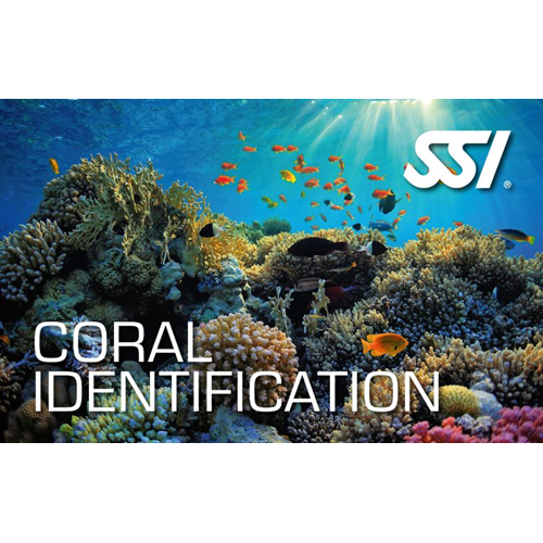 Coral Identfication