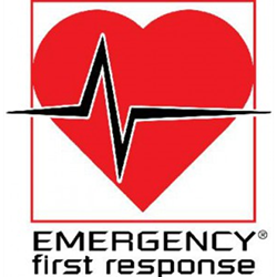 Efr: Primary Care (cpr) With Aed Up-date
