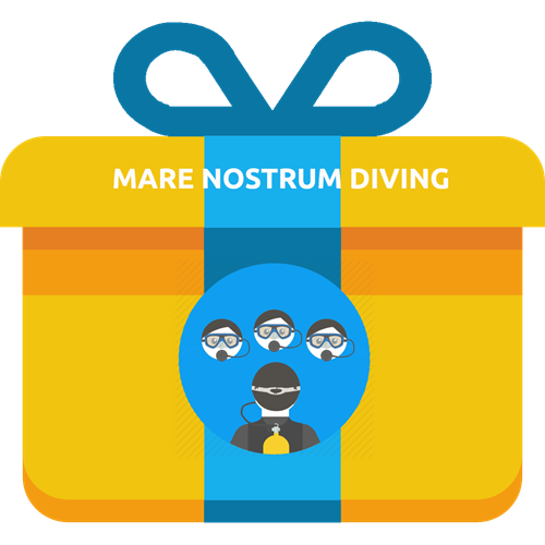 Gift - Scuba Diver