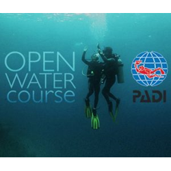 Openwater Diver