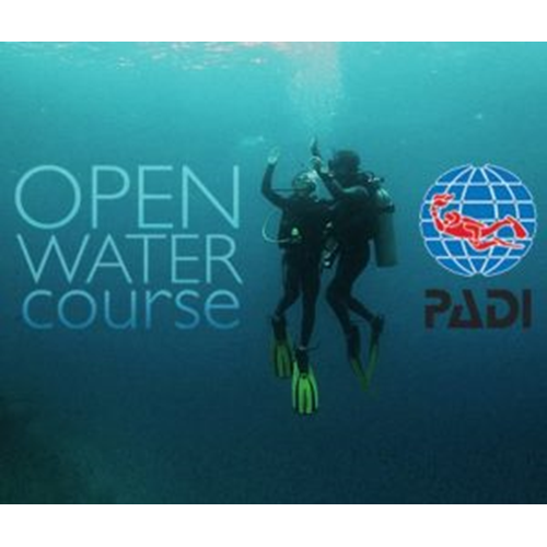 Executive Openwater Diver