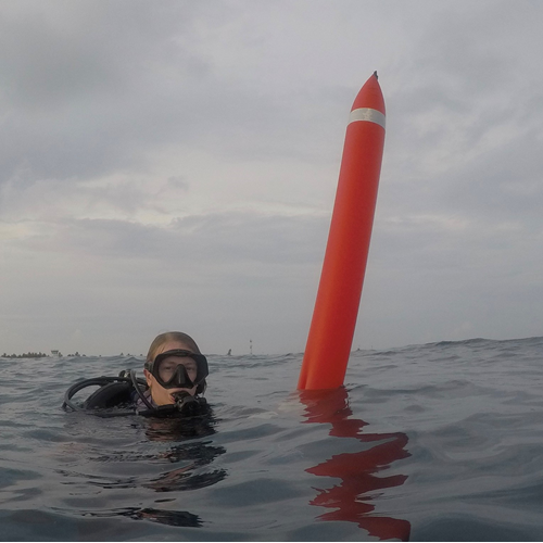 Delayed Surface Marker Buoy Diver