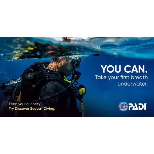 Discover Scuba Diving Scouts Promotion