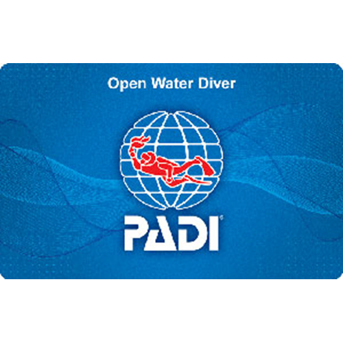 2 - PADI Open Water Pool Dives