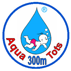300 Meter Badge