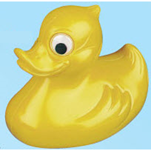 Plastic Duck