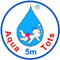 5 Meter Badge