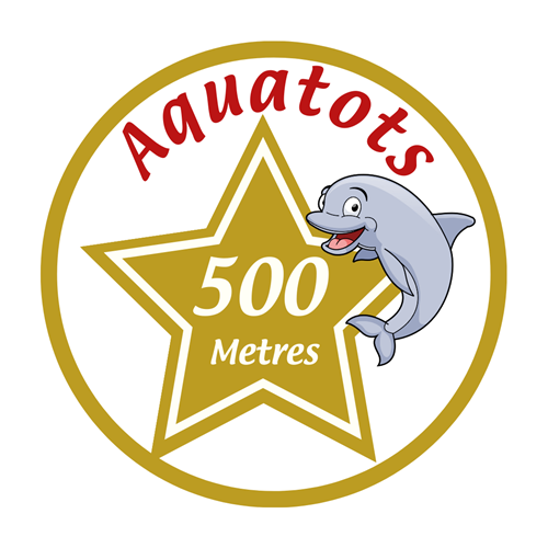 500 Meter Badge