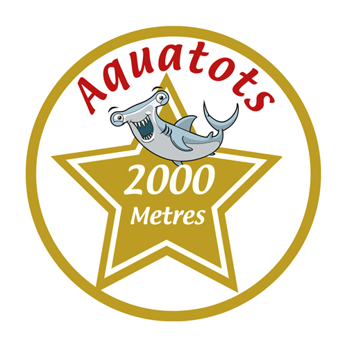 2000 Meter Badge
